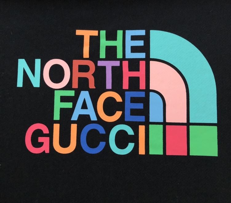 GUCCI X THE NORTH FACE SWEATSHIRT - H030