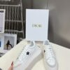 DIOR STAR PLATFORM SNEAKER WHITE CALFSKIN AND SUEDE - I011